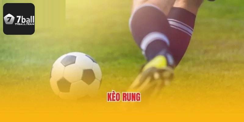 Tổng hợp các dạng kèo rung trong bóng đá được nhiều người chơi
