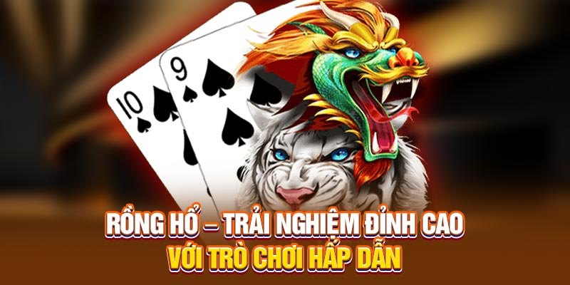 Giới thiệu đôi nét về rồng hổ online tại 77Ball