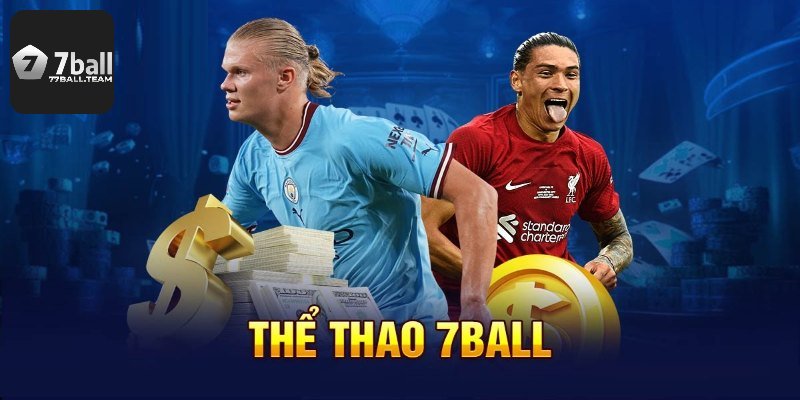 Vài nét về sảnh thể thao 77Ball